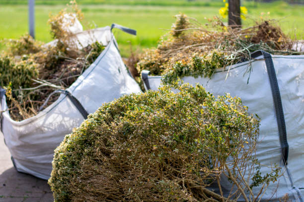 Best Attic Cleanout Services  in Palmer Lake, CO